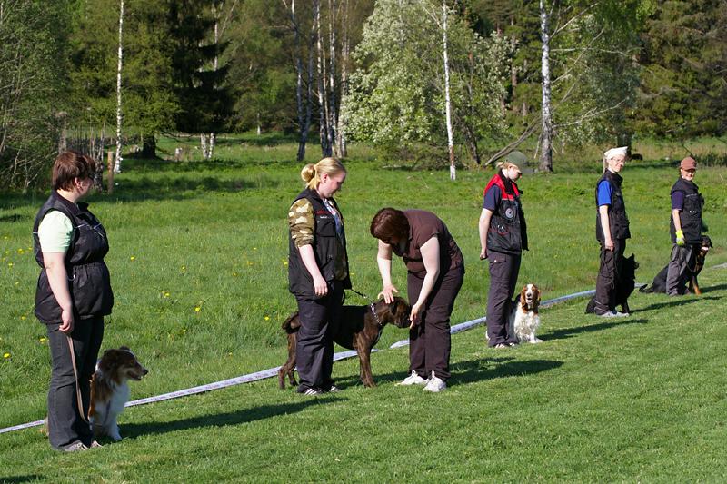 25.5.09 002 (2).jpg